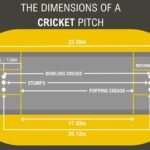 How Many Creases Are There in Cricket? A Complete Guide for Beginners