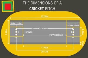 How Many Creases Are There in Cricket?